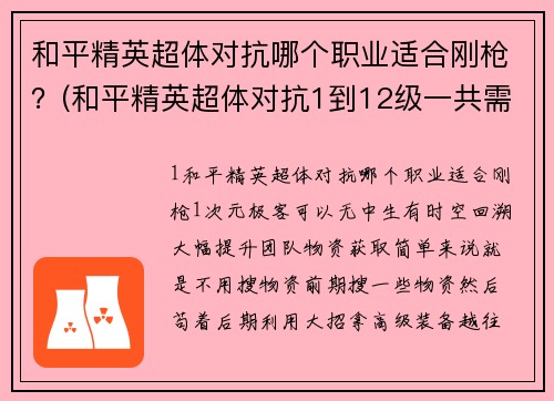 和平精英超体对抗哪个职业适合刚枪？(和平精英超体对抗1到12级一共需要多少金元宝？)